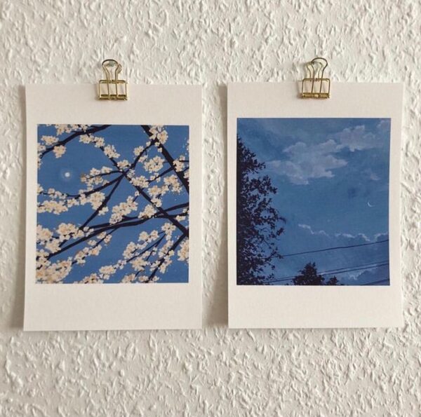 Blue skies polaroids